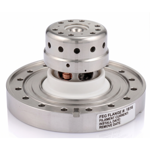 FEI Sirion SFEG Module